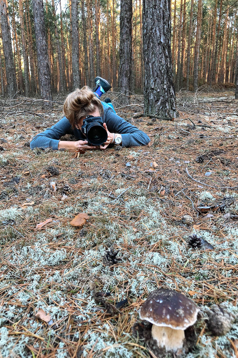 Fotografowanie grzybów
